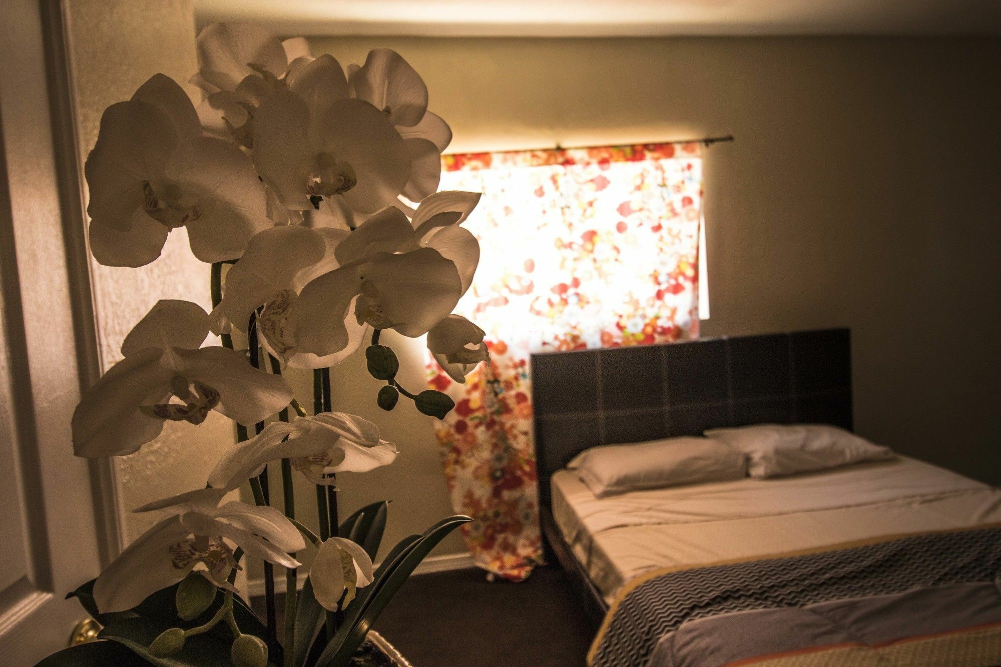 The Anderson Estates Hostel ลอสแอนเจลิส ภายนอก รูปภาพ